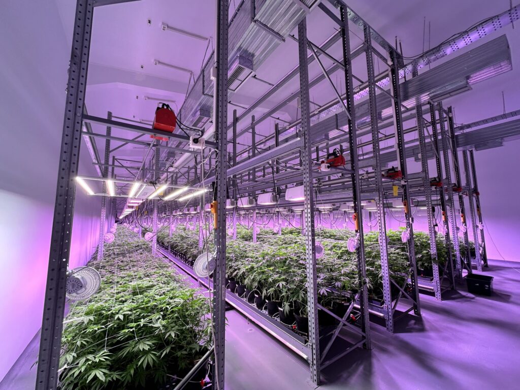 Cannabis Research and Production